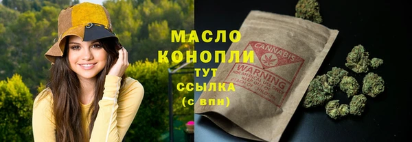 МДПВ Каменка