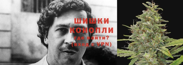 МДПВ Каменка