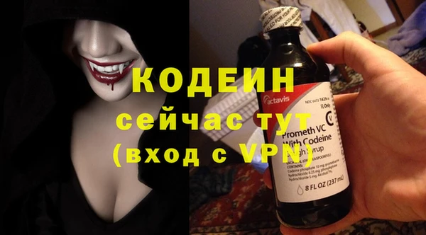 МДПВ Каменка
