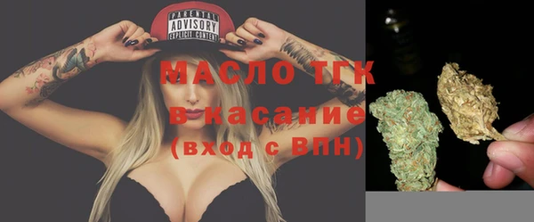 МДПВ Каменка