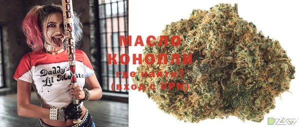 МДПВ Каменка