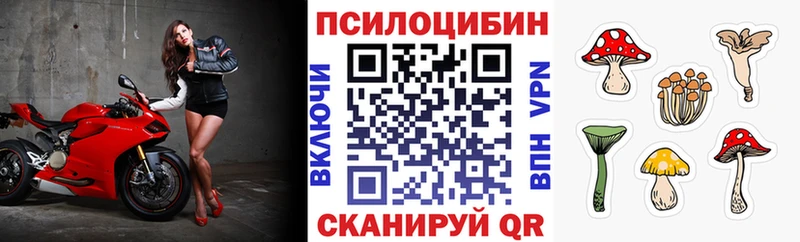 Псилоцибиновые грибы Psilocybe  Купить закладки  Обоянь 